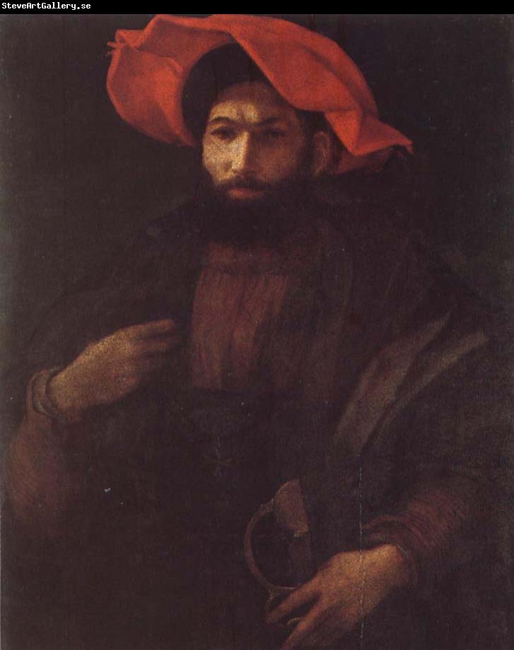 Rosso Fiorentino Portrait of a Kinight